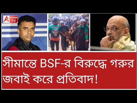 সীমান্তে মোদির নামে গরু জ"বাই! কী শুরু করেছে বাংলাদেশ! দেখুন