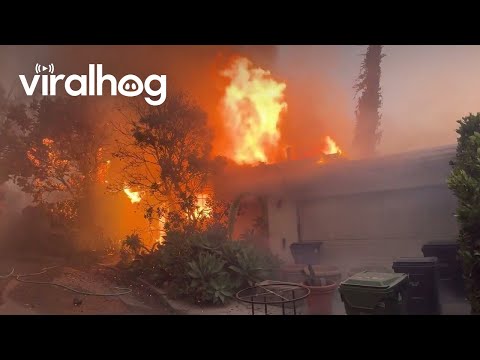 First Day of the Pacific Palisades Fire || ViralHog