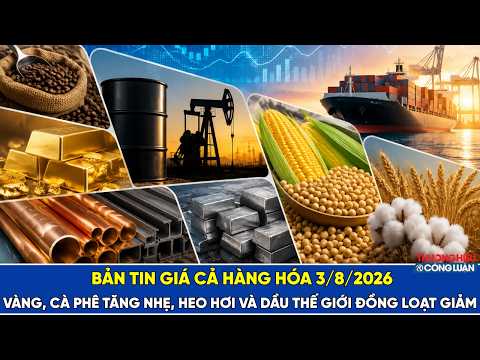 Bản tin hàng hóa ngày 3/8/2026: Vàng, cà phê tăng nhẹ, heo hơi và dầu thế giới đồng loạt giảm