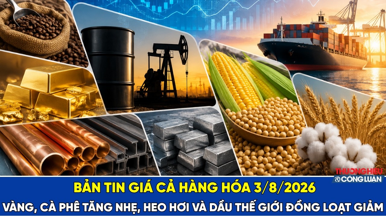  Bản tin hàng hóa ngày 3/8/2026: Vàng, cà phê tăng nhẹ, heo hơi và dầu thế giới đồng loạt giảm