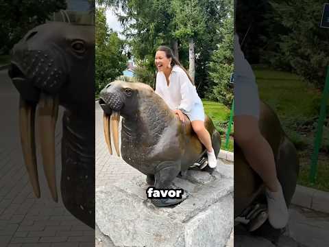 Maanvi no logró llevar al panda a casa #shortvideo