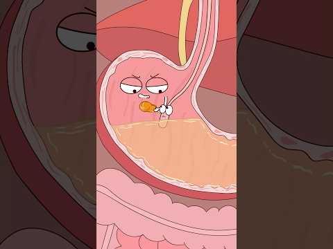 Es increíble que puedas poner un globo dentro del estómago.#Shorts