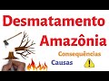 Desmatamento e suas Consequências