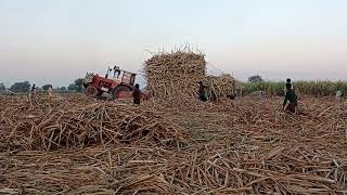 A big Tractor 🚜 Stunt while Pulling Sugarcane loaded Trolley.
