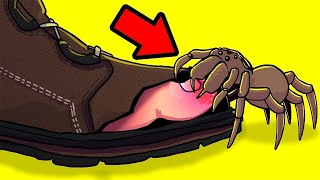 حيوانات مرعبة يجب عليك تجنبها بأي ثمن