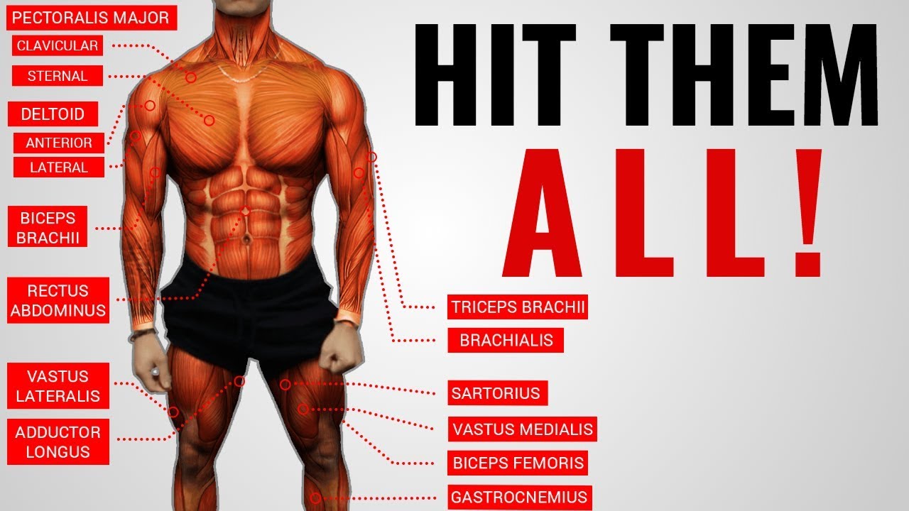 The Best Science-Based Full Body Workout for Growth (WORKOUT A)