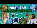Understanding Ecosystems and Vivariums