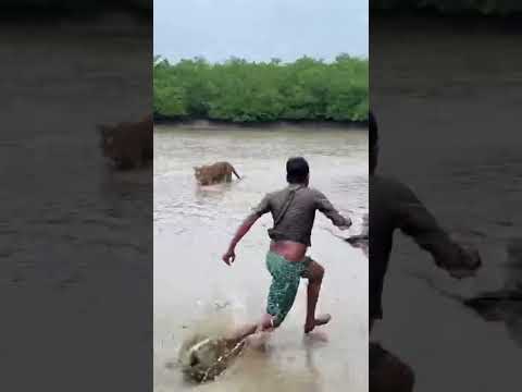 On Camera Recording Fisherman Sundarban Boat!๐ฏ