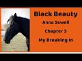Understanding Black Beauty's Training and Experiences