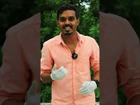 SIM Card La இருந்து தங்கம் எடுக்கலாம் | Gold Recovery From SIM Card |#Shorts Creative Experiment