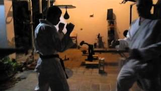 Roundhouse Kick