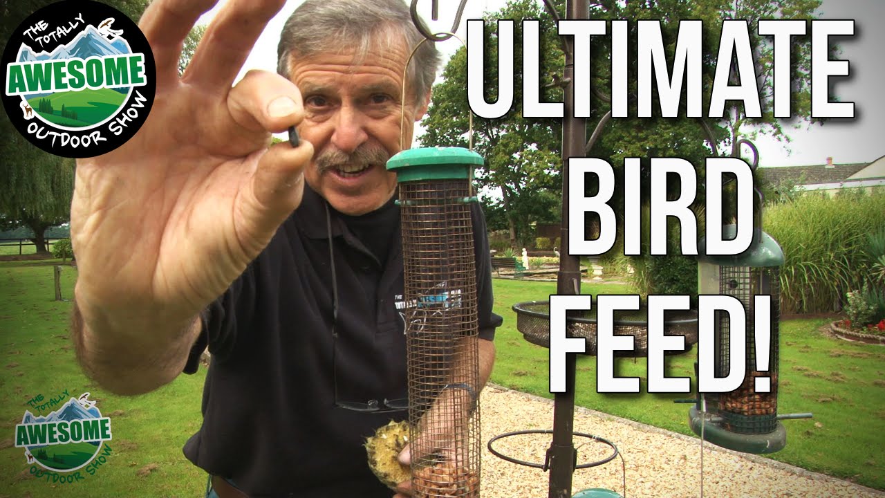 How to attract wild birds to your garden TA Outdoors