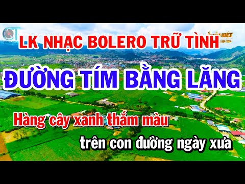 Liên Khúc Bolero Trữ Tình Tone Nữ – Đường Tím Bằng Lăng – Hoa Nở Về Đêm