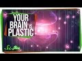Understanding Learning and Neural Plasticity