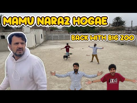 We Are Back With Big zoo 😍 | SW pet House wale Waleed bhai naraz Hogae 😥 | Mehran Kay Mehman