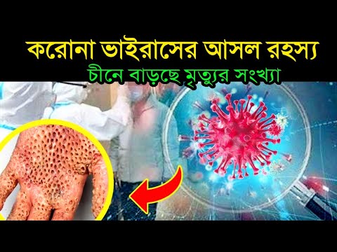কতটা ছড়িয়ে পড়েছে করোনা ভাইরাস ? যার প্রভাব ভারত বাংলাদেশ সৌদিআরবেও পড়েছে | Coronavirus Facts