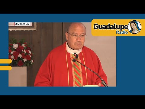¿Qué nos dice hoy la palabra de Dios?