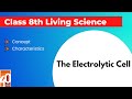 Electrolysis and Electroplating Concepts