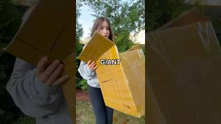 Unboxing a GIANT MYSTERY BOX! 😱😳📦 *$100 haul*