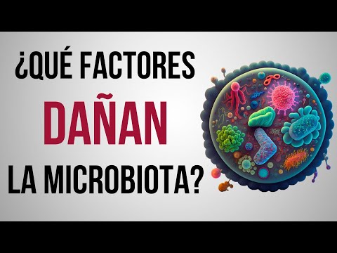 ⚠️ Metales Pesados y sus EFECTOS DIRECTOS en la Microbiota Intestinal - Mar Alonso