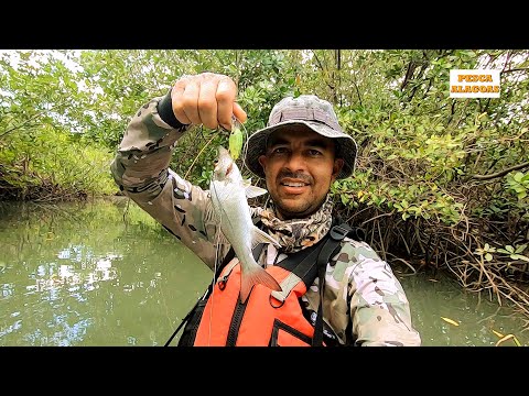 PESCARIA de CAIAQUE nos mangues da FOZ DO RIO SÃO FRANCISCO