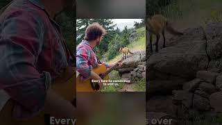 Wild Fox Visits This Man Everyday To Listen To His Music | The Dodo
