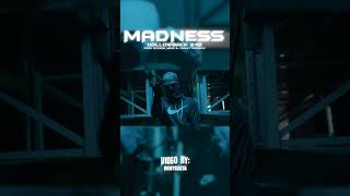 (242) HOLLOWBACK - MADNESS (14.5.2023 18:00)