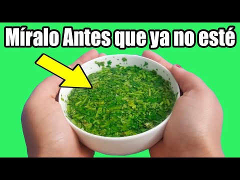 Esta Planta limpia Riñones, Hígado, es para diabéticos, hipertensos, protege cerebro y 😷 infeccione