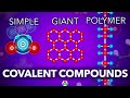 Covalent Bonds and Polymers