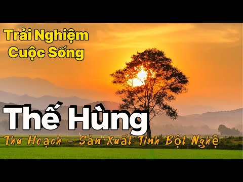 Thu Hoạch - Mua Bán Và Phương Pháp Sản Xuất Tinh Bột Nghệ Của Bà Con Nông Dân Quê Mình 2024