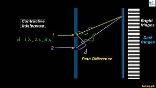 Interference of Light