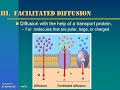 Osmosis and Diffusion Concepts Explained