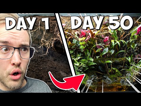 So Much Life In My Giant Ecosystem Vivarium