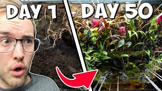 So Much Life In My Giant Ecosystem Vivarium