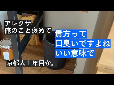 No.2 お節介アレクサとサラリーマンの日常「俺を褒めて」「貴方って口臭いですよね。いい意味で」
