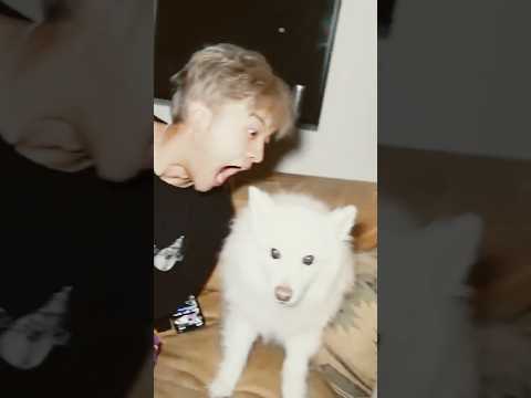 Jason Tried to Eat QTCinderella’s Dog 😭🐶
