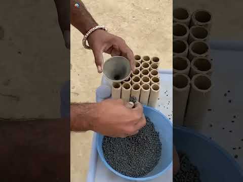 Sky Shots Bomb Making Factory - Fireworks Factory - Firecracker Rocket Making #shorts #short