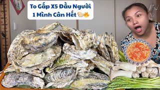 Đại chiến NÚI HÀU to béo chấm muối ớt chanh ai nhìn cũng choáng -1 mình cân hết 