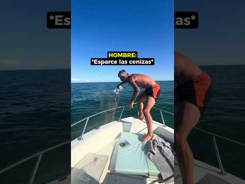 Un Último Baño Con Su Perro! ❤️🩹