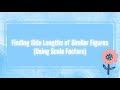 Understanding Similar Triangles and Scale Factors