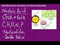 Biomolecules Structure and Function