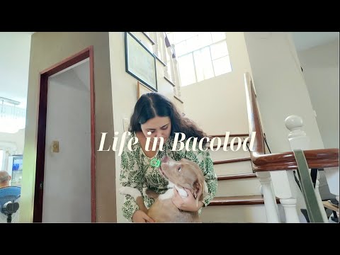 My Normal Life in Bacolod