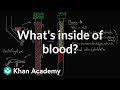 Understanding Blood Components and Processes