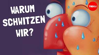 Warum schwitzen wir? - John Murnan