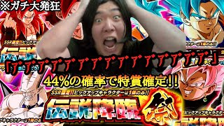 【神ガチャ】44％の確率で目玉LR確定ガチャでとんでもない引きをしてしまい大発狂してしまう男の末路【ドラゴンボール ドッカンバトル ガチャ動画】