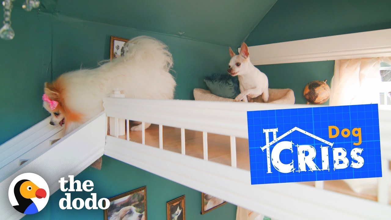 Take a Tour of The Most Luxurious Dog Houses Ever