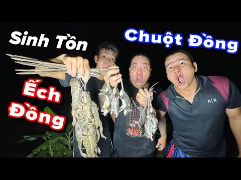 Theo chân Thánh Xàm Một Đêm Bắt chuột đồng và ếch đồng thấy mà ham | trãi nghiệm đồng quê
