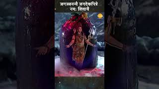 जगज्जनन्यै जगदेकपित्रे नम: शिवायै। | Shri Krishna