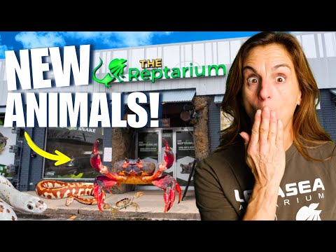 Meet The NEW Animals Taking Over The Old REPTARIUM! Exhibit By Exhibit Tour!