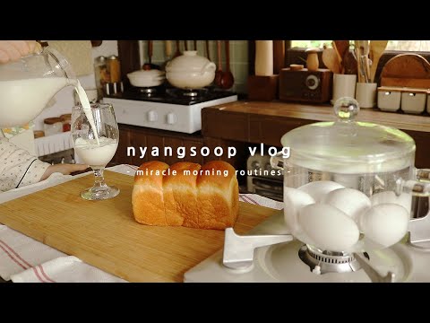 새벽 5:30 기상 미라클모닝 자취일상. 타코 목욕하는 날, 마당 울타리 칠하고 물냉면, 로투스 스모어 쿠키 만드는 브이로그 | Miracle Morning